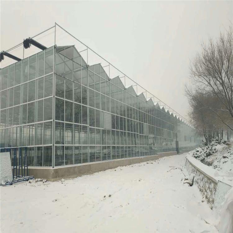 我們?nèi)绾畏纻錅厥掖笈镌庥龅蜏啬?？溫室噴灌機(jī)