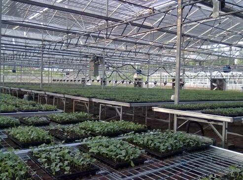 水肥一體化技術(shù)都有哪些？